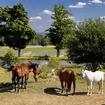 Luxusni Blonde Farm * Slavetin