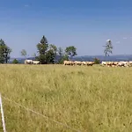 Luxusni Blonde Farm * Slavetin