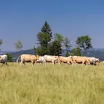Luxusni Blonde Farm Slavetin