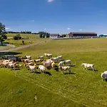 Luxusni Blonde Farm *