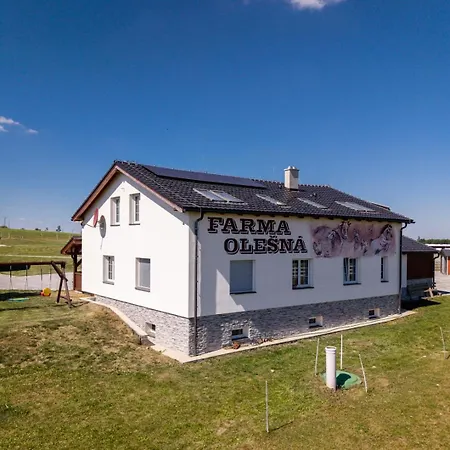Apartment Luxusni Blonde Farm *