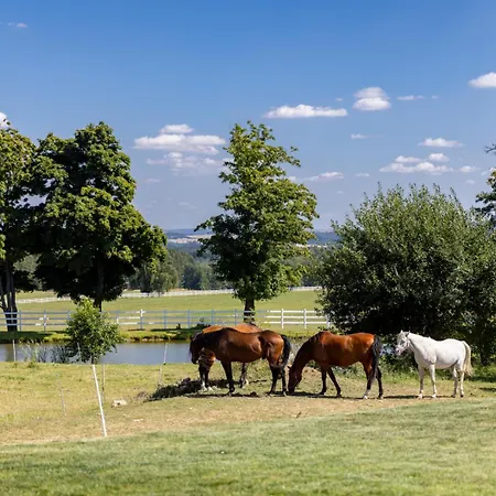 Apartment Luxusni Blonde Farm Slavetin